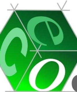 LOGO ecodomus nitidissimo_edited.jpg