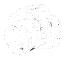 Bird Creative Media new camera drawing
