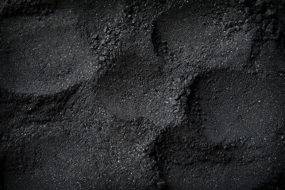 still-life-ashes-with-charcoal.jpg