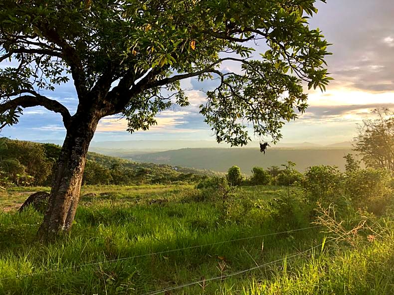 Atardecer en el terreno