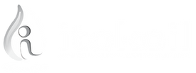 logo itok.white.png