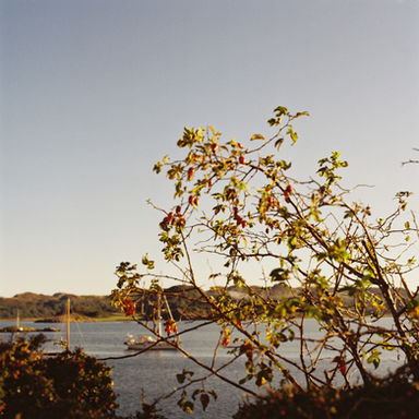 Lorna MacKay, Bloomberg, Highlands Rewilding