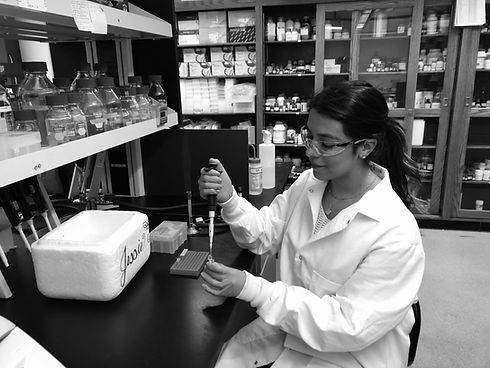lab picture.jpg