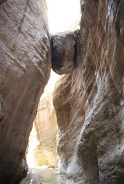 Skærmbillede 2016-03-24 kl. 11.31.52