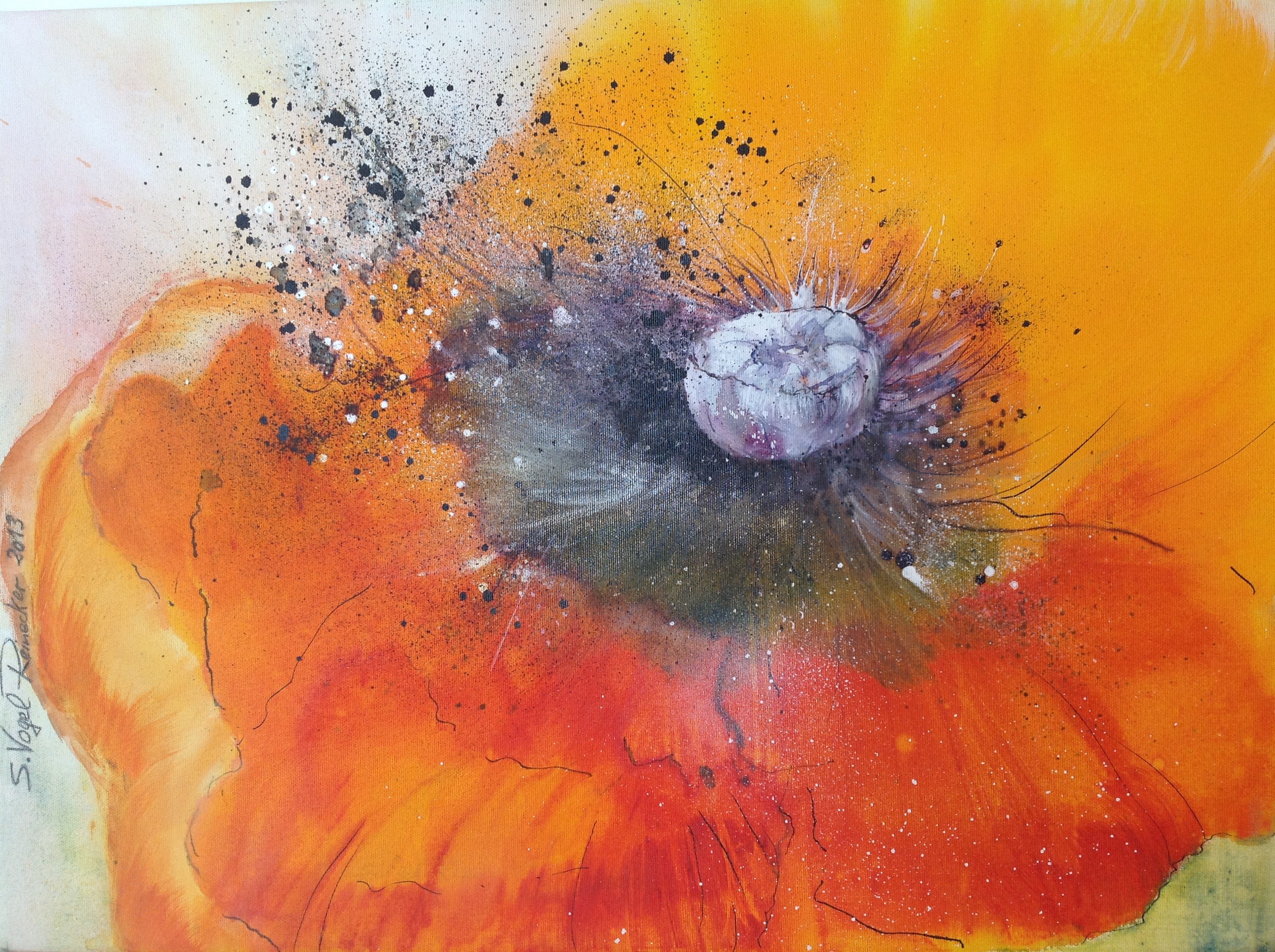 Mohn
