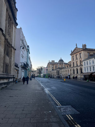 Research Project (Ongoing)