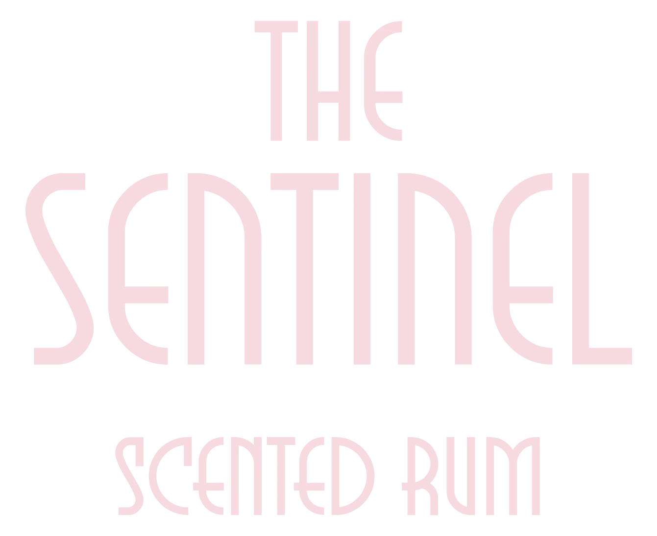 Sentinel-Logo-Variation-3.png.webp