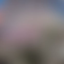 Pink Portra POV Video Part 1 ist online