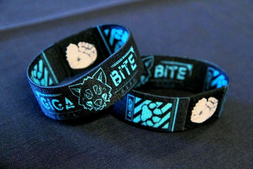 Thumbnail: GIGABITE Wristband
