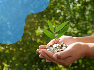 Riscos financeiros ligados à natureza no Brasil