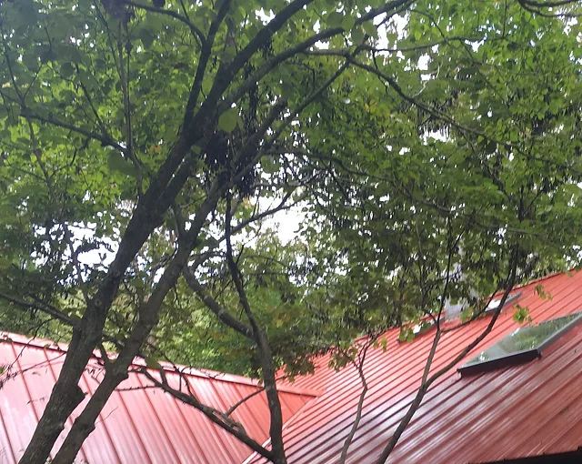 Roofer Element Roofing Of Nwa United States