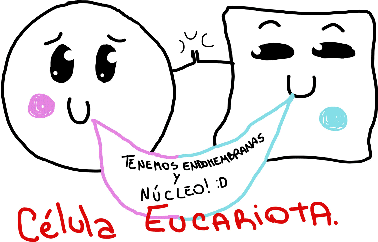 Estructura celular | misitio-1