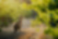 iStock-1214387358-min_edited.jpg