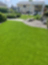 turf3.jpeg
