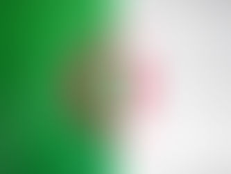 Exploring the Symbolism and History of the Algerian Flag: A Beacon of Freedom