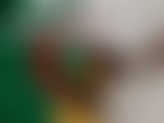 Algeria Enforces Total Ban on Cryptocurrencies with Harsh Penalties