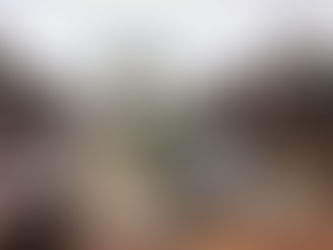 What are the Key Sectors Discussed by President Abdelmadjid Tebboune in Recent Meetings?