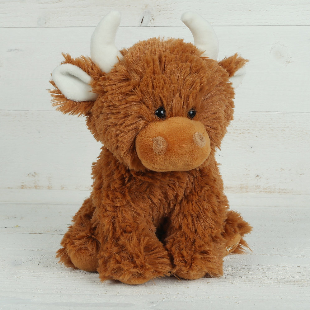 Small Highland Coo