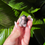 Thumbnail: Mini Rhodonite Toothless