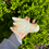 Thumbnail: Afghan Jade