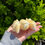 Thumbnail: Yellow calcite