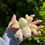 Thumbnail: Yellow calcite