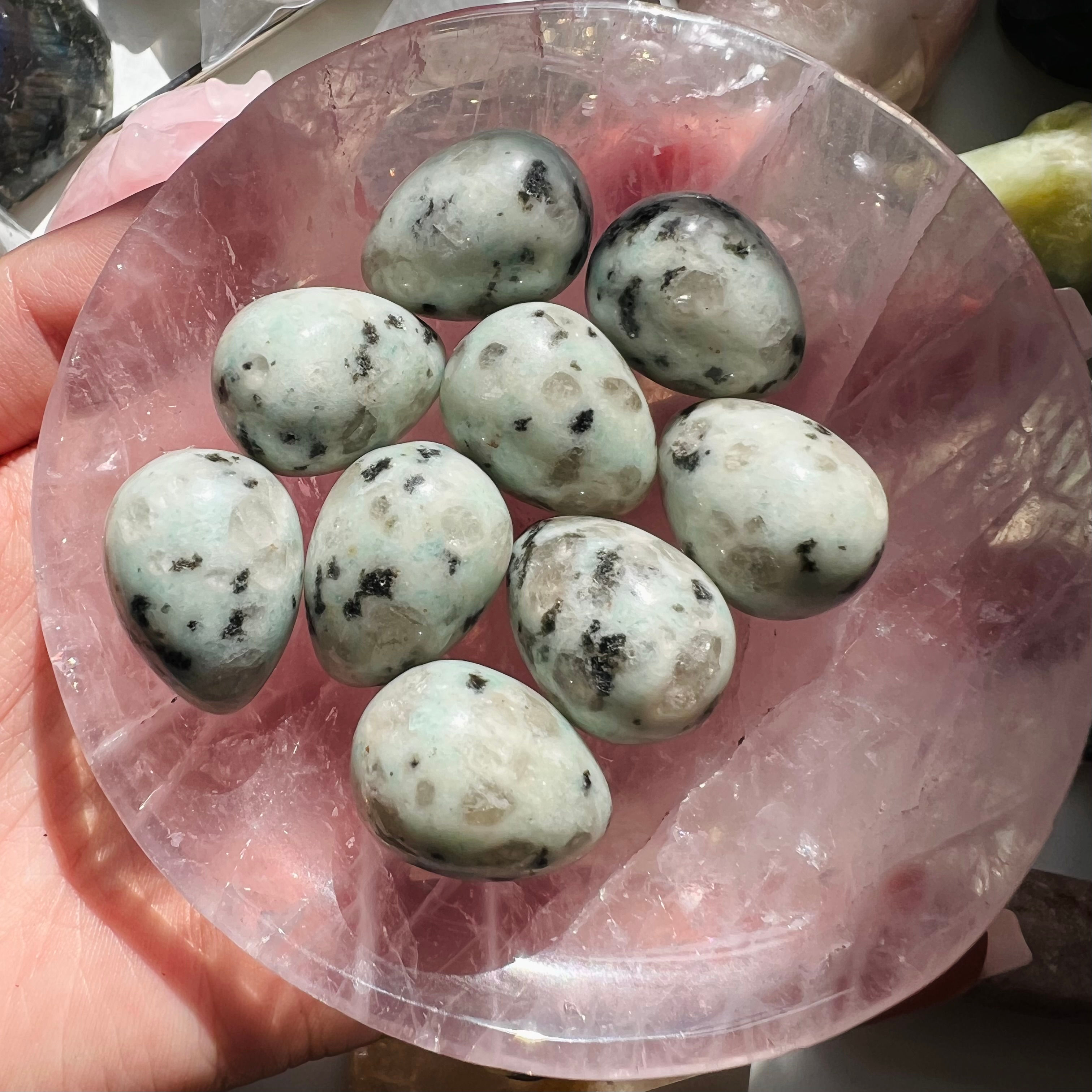 Kiwi Jasper Egg