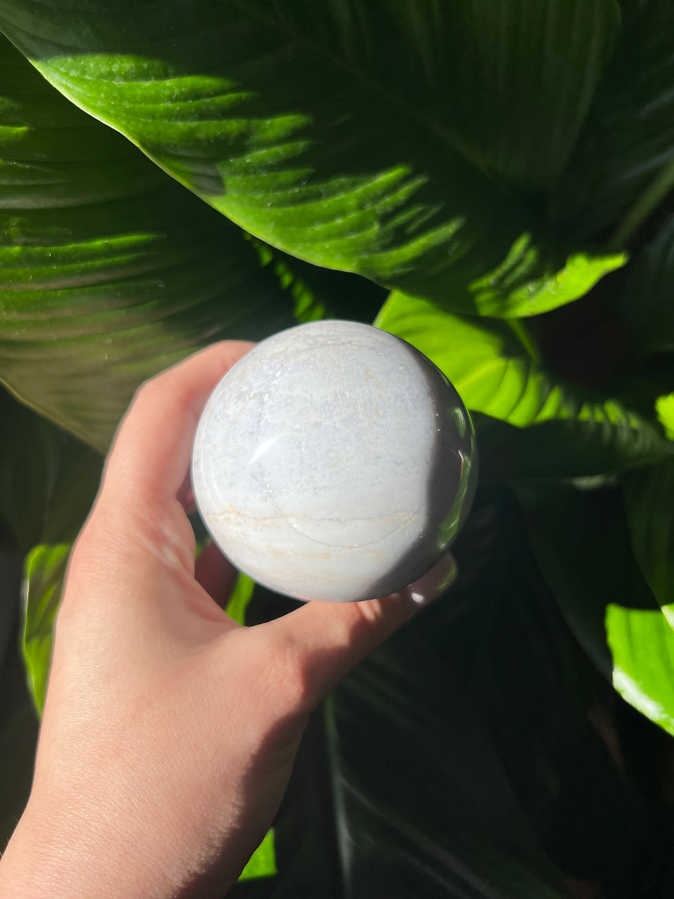 Thumbnail: Ocean Jasper