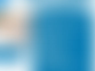 Analista de Compras y Almacén           Santo Dgo