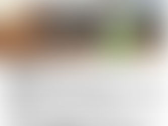 Gerente de Proyectos                             (Santiago)