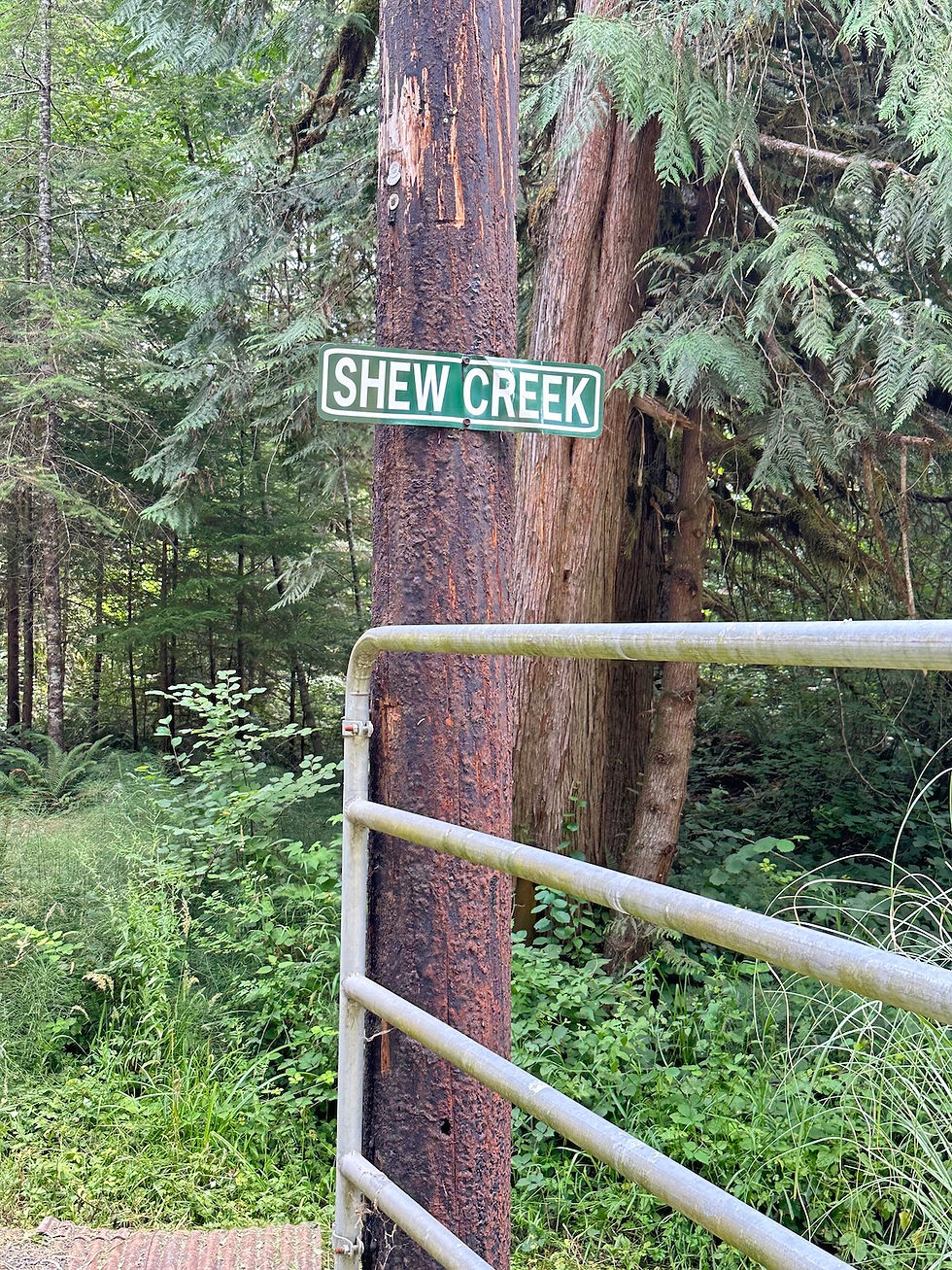 Lane County Tree Farmer of the Year Tour & Picnic