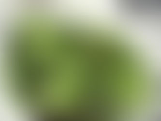 Is the Annual Seedling & Native Plant Sale on your calendar?