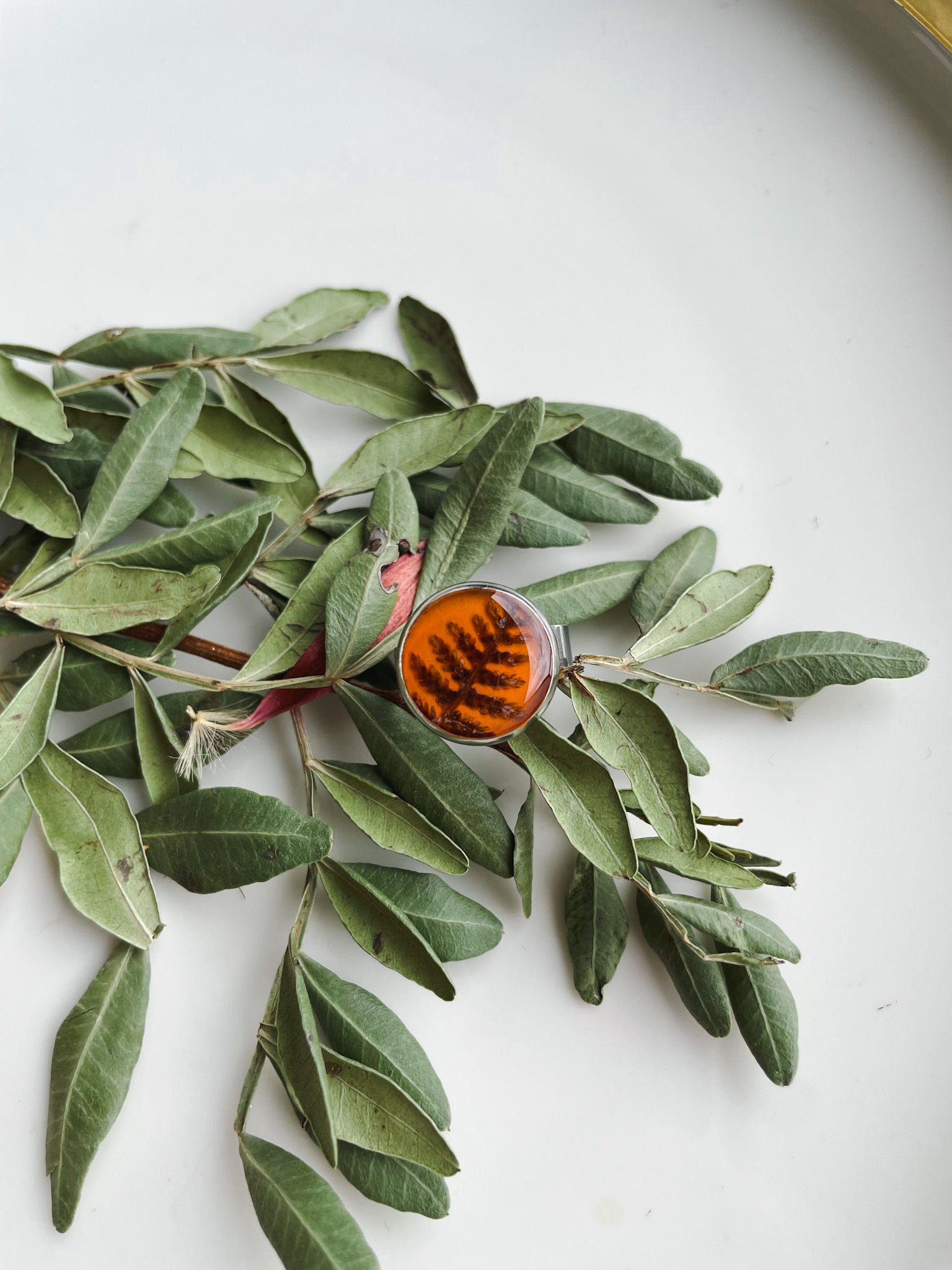 Ring with Athyrium filix-femina leaves