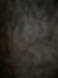 Tree Bark Texture