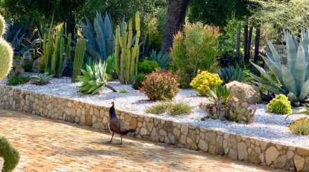 Art of the Garden | Creative Arts Group
