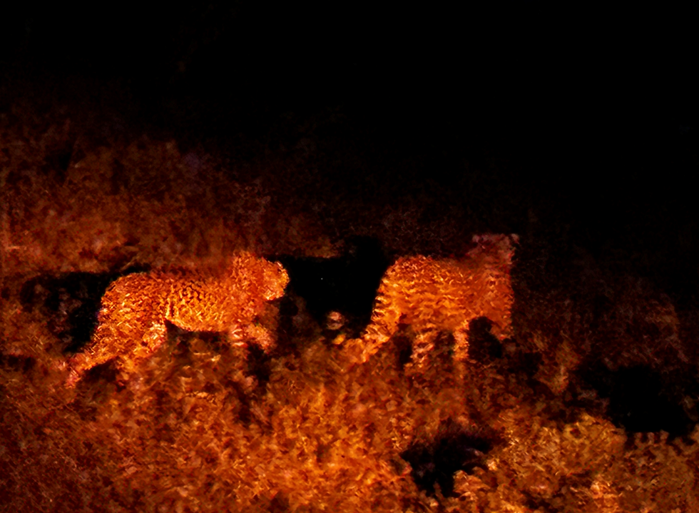 A Journey to South Africa