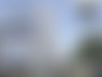 "el uso del Hospital Español para tratar.."