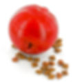Cat toys n' trinkits