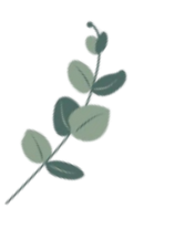 Untitled design (9)_edited.png