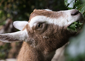 Screenshot 2026-03-05 103135.png