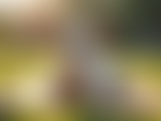 Experience the Joy of Goat Yoga at Kaizen Ridge Farm in Rochester NY