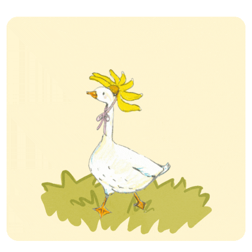 portfolio assets (2).gif