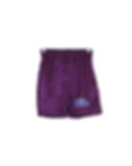 Thumbnail: Purple Velour Shorts
