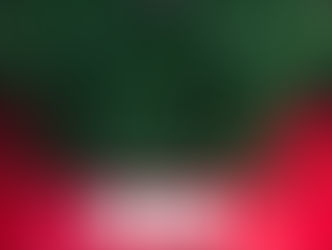 あけました新年が…