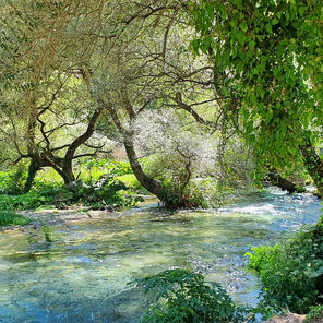 Flow Erlebnis - auch im beruflichen Alltag