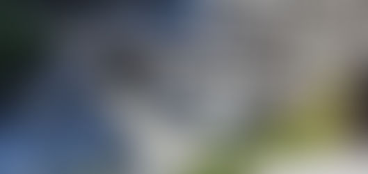 Brücken bauen zur Mitarbeiterbindung