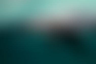 ein Pinguin ist in seinem Element - dem Wasser