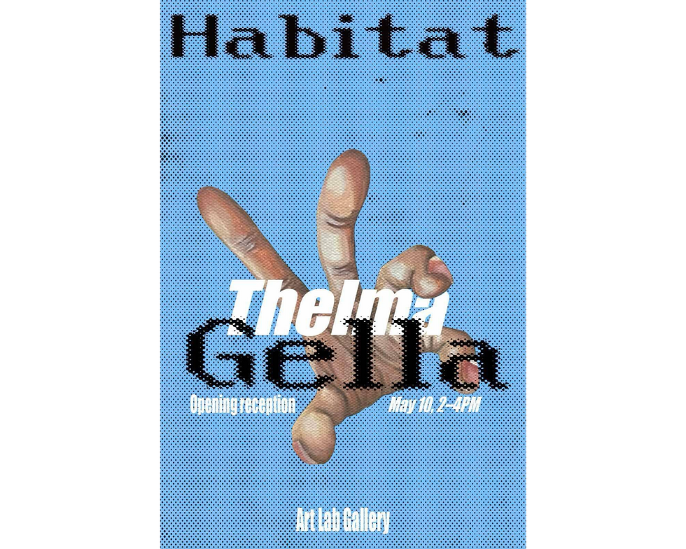 Art Exhibit by Thelma G. Sigurhansdóttir "Habitat"