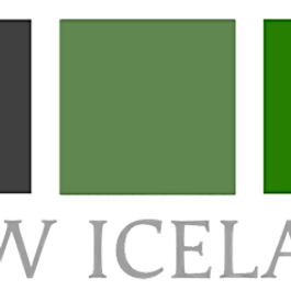 BUSINESS: New Iceland Advisors