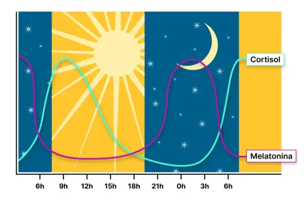 Gráfico apontando as variações de cortisol e melatonina conforme o ciclo circadiano